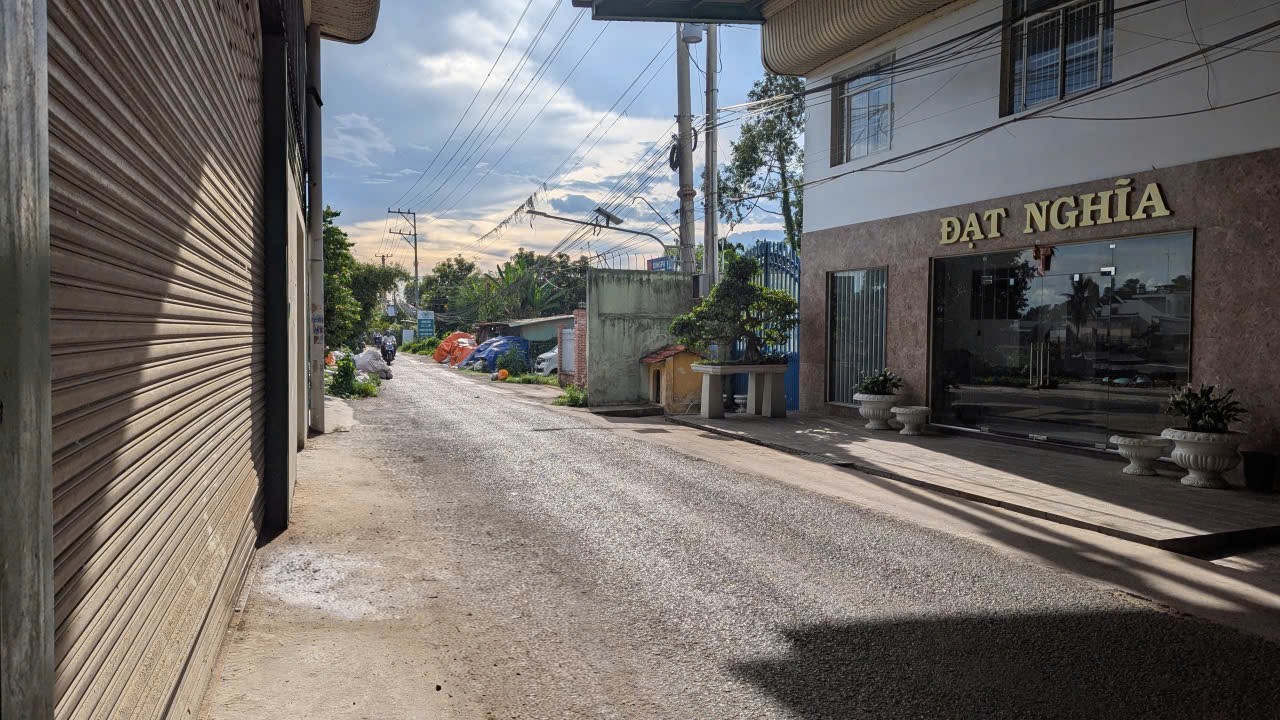 Dat Nghia Export gallery image 4